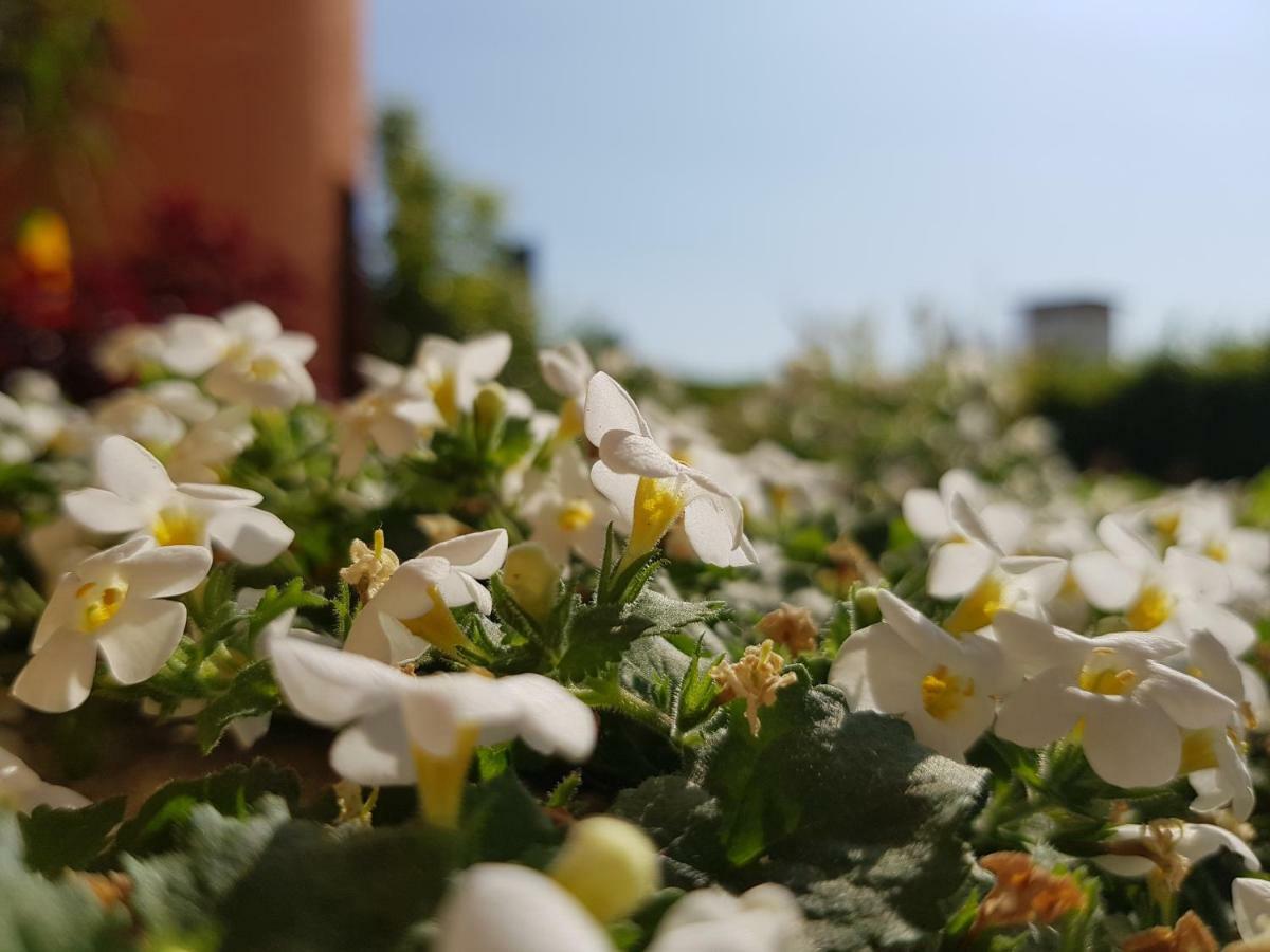 B&B Villa Giulia Desenzano del Garda Ngoại thất bức ảnh